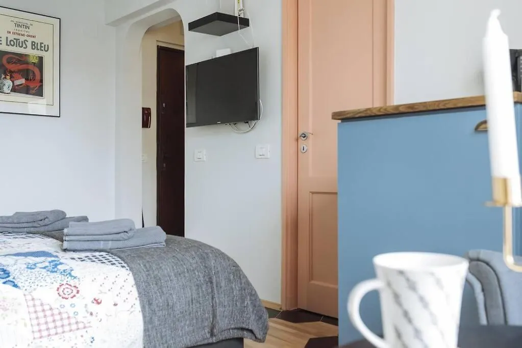 Apartment Old Town - Studio Over The River Bucharest